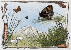Sátiro-dos-Açores ou borboleta-castanha