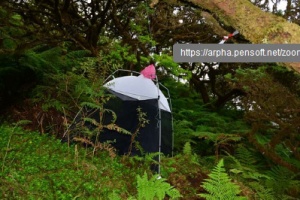 Arthropod diversity in two Historic Gardens in the Azores, Portugal