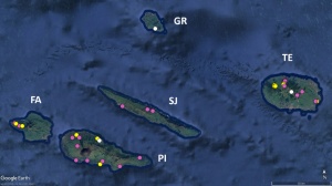 Insights from the Dalberto Teixeira Pombo (DTP) Arthropod Collection &ndash; I. Revealing the Hidden Diversity of Terrestrial Cave Arthropods in the Azores