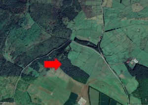 A multitaxa approach to biodiversity inventory in Matela protected area (Terceira, Azores, Portugal)