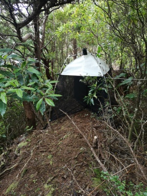 SLAM Project - Long Term Ecological Study of the Impacts of Climate Change in the natural forest of Azores: VI - Inventory of Arthropods of Azorean Urban Gardens