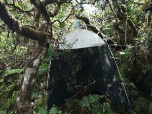 SLAM Project - Long Term Ecological Study of the Impacts of Climate Change in the natural forests of Azores: V - New records of terrestrial arthropods after ten years of SLAM sampling